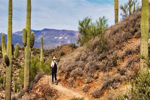 The Legal Landscape for Fashion Designers in Maricopa County, Arizona