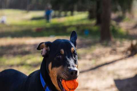 7 Ways to Support Charity Foundations in Cartersville, Georgia