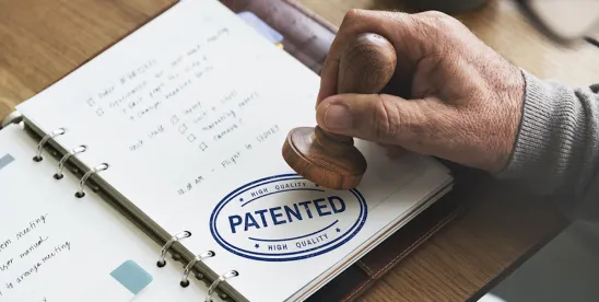 Navigating Patent Term Adjustment and Patent Term Extension: Recent Court Rulings and Their Impact..