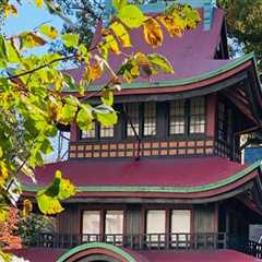 The Ultimate Guide to Sports in Chevy Chase, Maryland