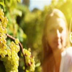 The Ultimate Guide to Wine Tours in Harris County, Texas