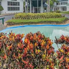 Retiring in Paradise: Exploring the Vibrant Community of Vero Beach, FL