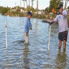 Exploring the Vero Beach FL Community: Local Volunteer Opportunities