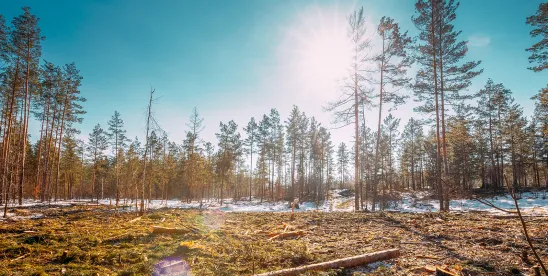 The Hidden Risk of Diminished Environmental Data: Could the United States Lose Its “Low-Risk”..