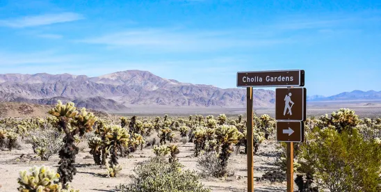 Commission Approves Western Joshua Tree Conservation Plan