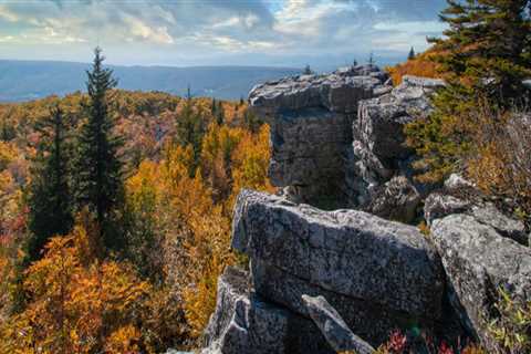 The Job Market in Monongalia County, West Virginia: An Expert's Perspective