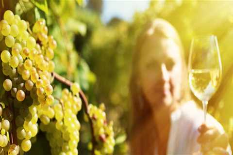 The Ultimate Guide to Wine Tours in Harris County, Texas