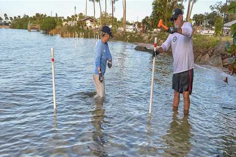 Exploring the Vero Beach FL Community: Local Volunteer Opportunities