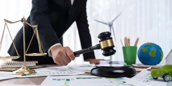 Sustainable Energy & Infrastructure Litigation Updates — September 2025