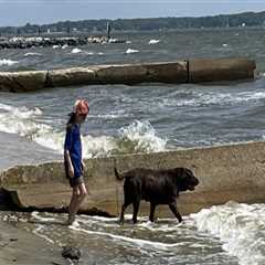 The Ultimate Guide to the Pet Policy at Boatyards in Calvert County, MD