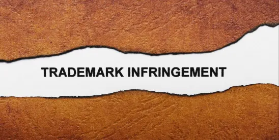 Standing: Don’t Get Owned by Incorrect Trademark Ownership