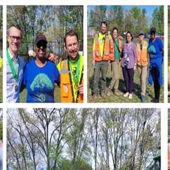 The Impact of Community Programs on Environmental Conservation in Fairfax County, VA