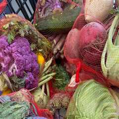 Addressing Food Insecurity in Fairfax County, VA: The Role of Community Programs