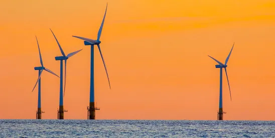 Proposed Cuts to Wind Energy Undermine Investment Certainty across Sectors