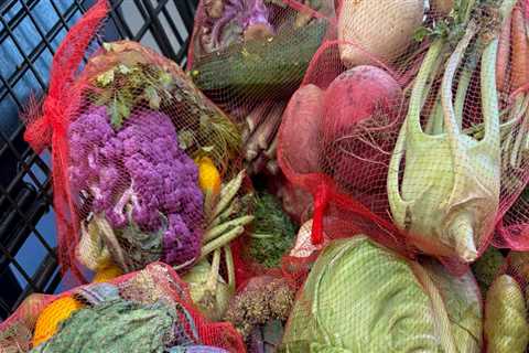 Addressing Food Insecurity in Fairfax County, VA: The Role of Community Programs