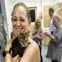 The Challenges of Handling Sick or Injured Animals at Shelters in Southeast SC