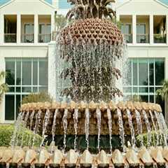 The Ultimate Guide to Fundraising Campaigns in Charleston County, SC