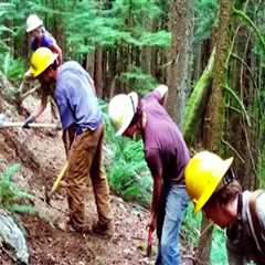 Volunteering in Southeastern Washington: What You Need to Know