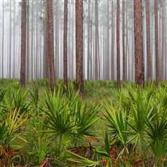 Exploring the Vital Government Agencies and Departments in Northwest Florida