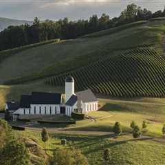 The Ultimate Guide to Starting a Wine Company in Central Virginia