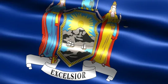 New York Ethics Commission Considers Expanding Lobbying Regulations and Campaign Finance..