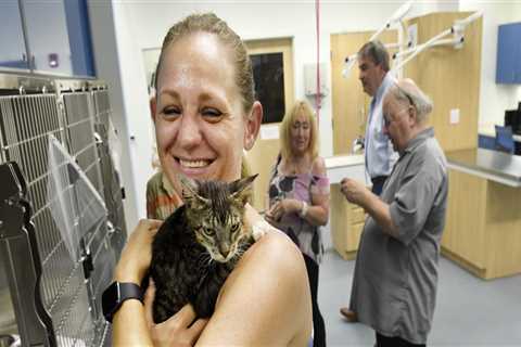 The Challenges of Handling Sick or Injured Animals at Shelters in Southeast SC