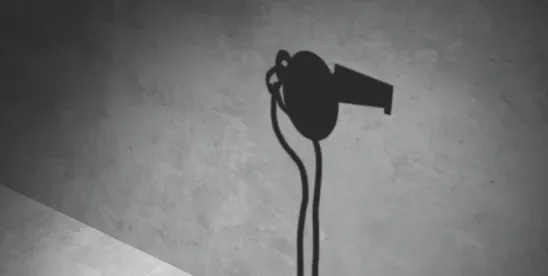 When whistleblowers go bad – tips for employers (UK)
