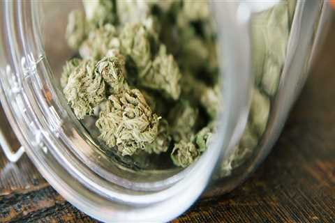 The Ins and Outs of Obtaining a License to Sell Cannabis in Southwest Washington