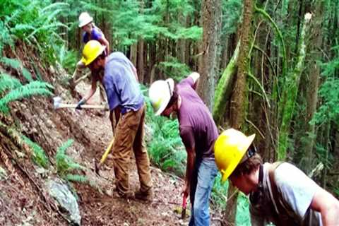 Volunteering in Southeastern Washington: What You Need to Know