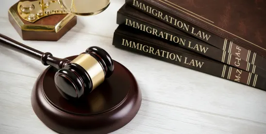 Big Law Redefined: Immigration Insights Episode 17 | Recent Updates on the EB-5 Program: Expiration ..