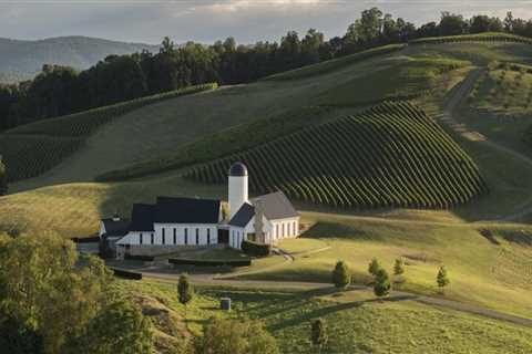 The Ultimate Guide to Starting a Wine Company in Central Virginia