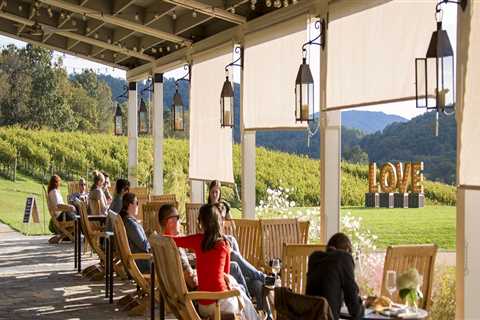 The Impact of Wine Tourism on Central Virginia's Wine Industry