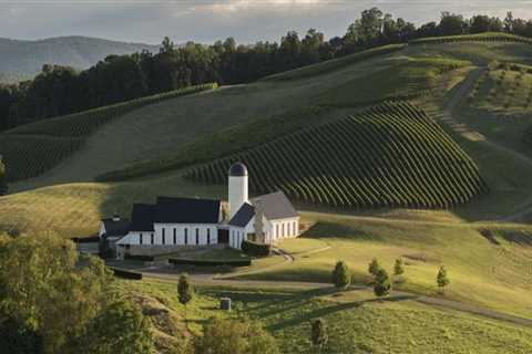 The Best Time to Explore Wine Companies in Central Virginia