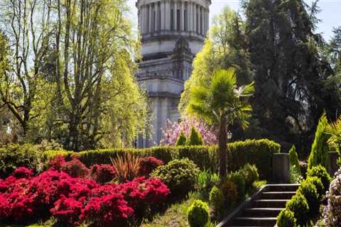 The Impact of Tax Policies on the Economy of Southeastern Washington: An Expert's Perspective