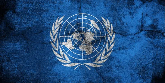 Geopolitics and Corruption - A History of the Objections to NGO Participation in the UN Convention..