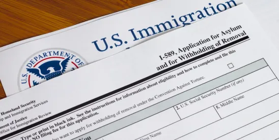 Big Law Redefined: Immigration Insights Episode 18 | Navigating Immigration in Flux: What Employers ..