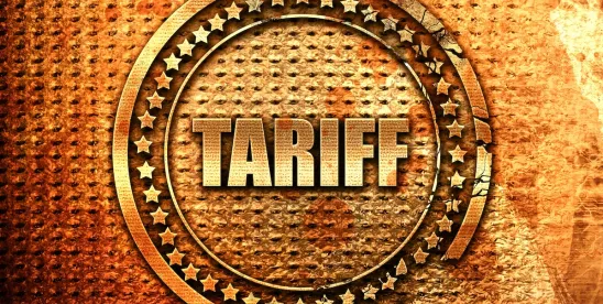 IEEPA Tariffs Head to Supreme Court: Could Refunds Be Next? What Businesses Should Know