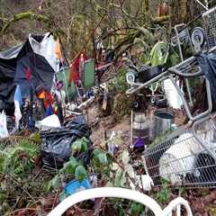 Overcoming Challenges: The Role of Environmental Groups in Multnomah County, Oregon