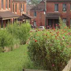 The Power of Community Projects in East Tennessee