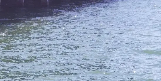 Another Day, Another WOTUS- EPA and Army Corps Again Propose a New CWA Jurisdictional Standard