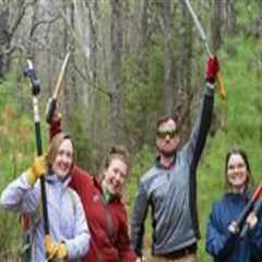 The Ultimate Guide to Volunteering with Charities in Northern Virginia