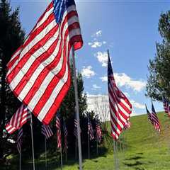 The Impact of Charities in Northern Virginia: How to Receive Assistance and Give Back