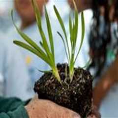 The Power of Volunteerism in Nonprofit Organizations in Sangamon County, Illinois