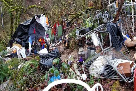 Overcoming Challenges: The Role of Environmental Groups in Multnomah County, Oregon