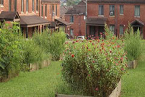 The Power of Community Projects in East Tennessee