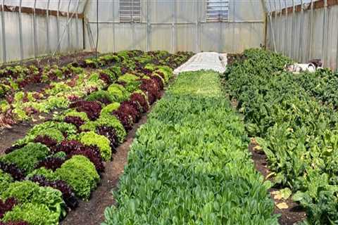 The Impact of Community Projects on Sustainable Agriculture in Washington County, Oregon