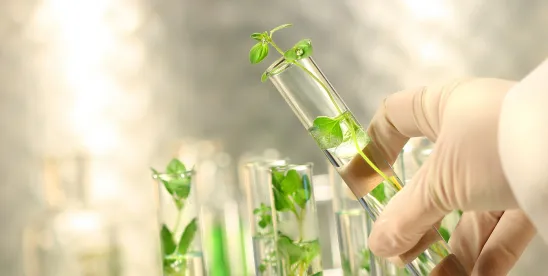 2025 Update on Plant Biostimulant Product Regulation Under FIFRA