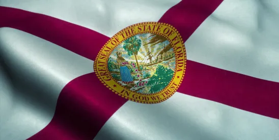 2025 Florida Condominium Budget Reform: New Reserve Funding and Vote Rules [Video]