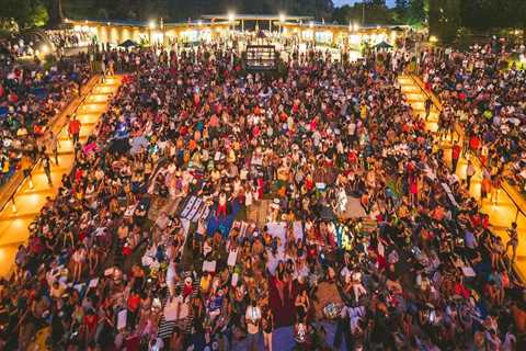 10 Impactful Charities in Northern Virginia