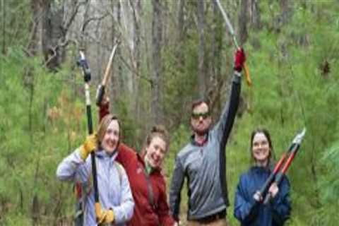 The Ultimate Guide to Volunteering with Charities in Northern Virginia